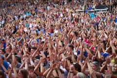 VF038537